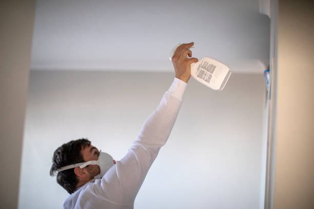 Best Black Mold Remediation in St Michaels, MD