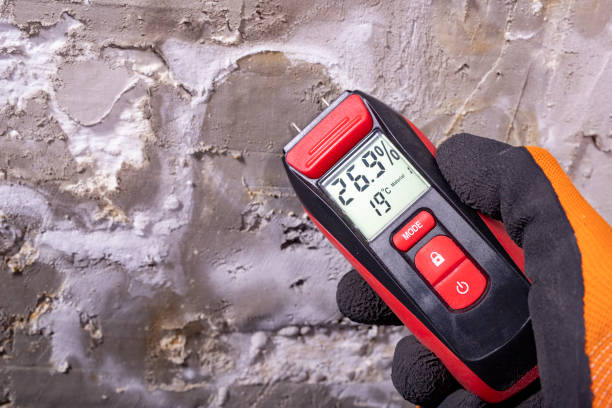 Best Post-Flood Mold Remediation in St Michaels, MD